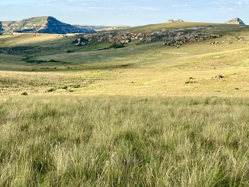 0 Bedroom Property for Sale in Fouriesburg Free State